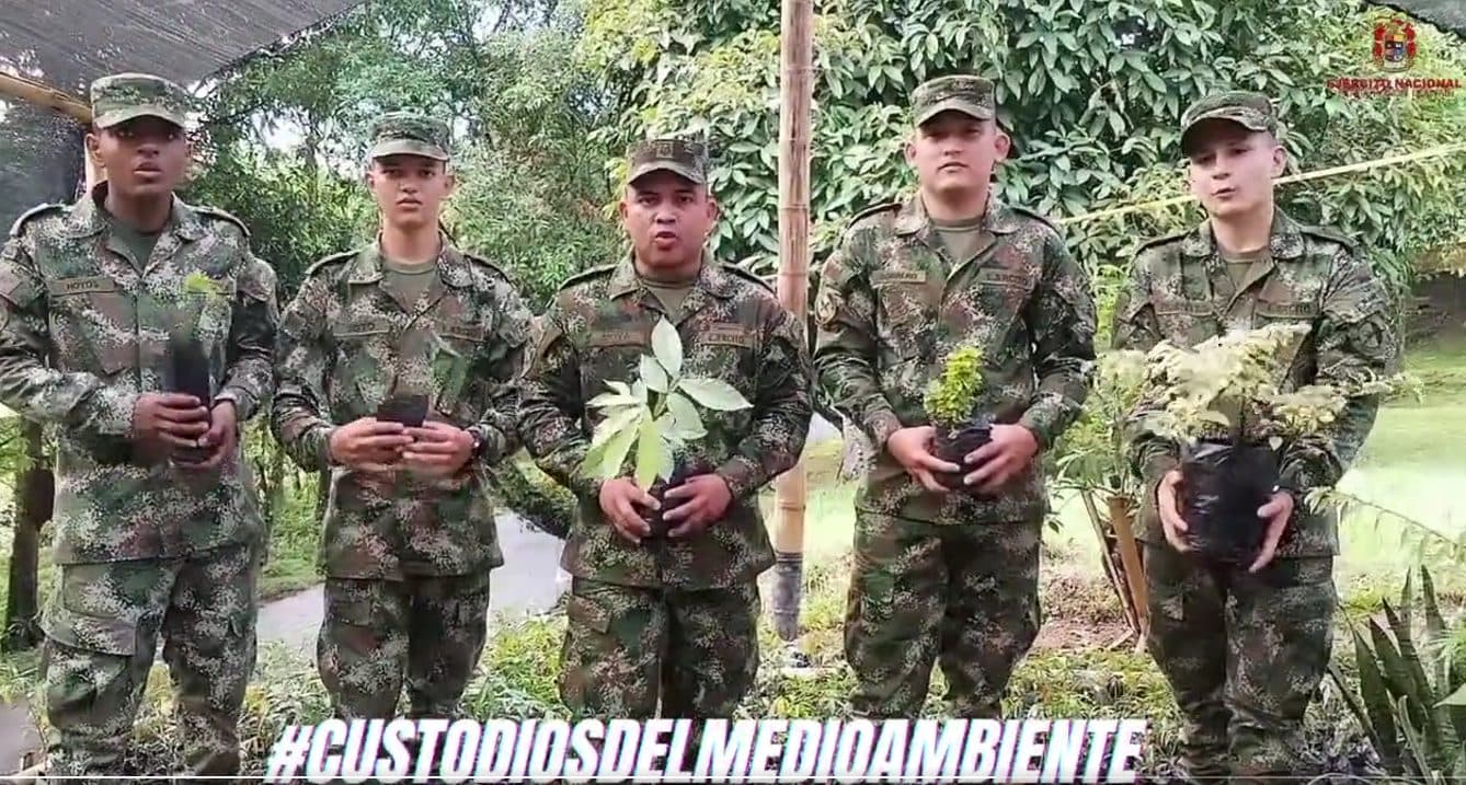 Gran articulación nacional: 300.000 árboles en un minuto