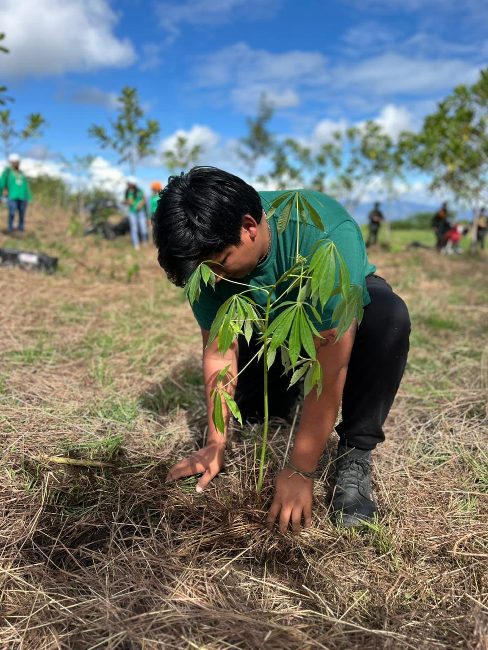 Reforestación con la comunidad en Huila