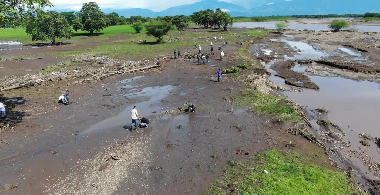 Territorio en proceso de restauración ecológica