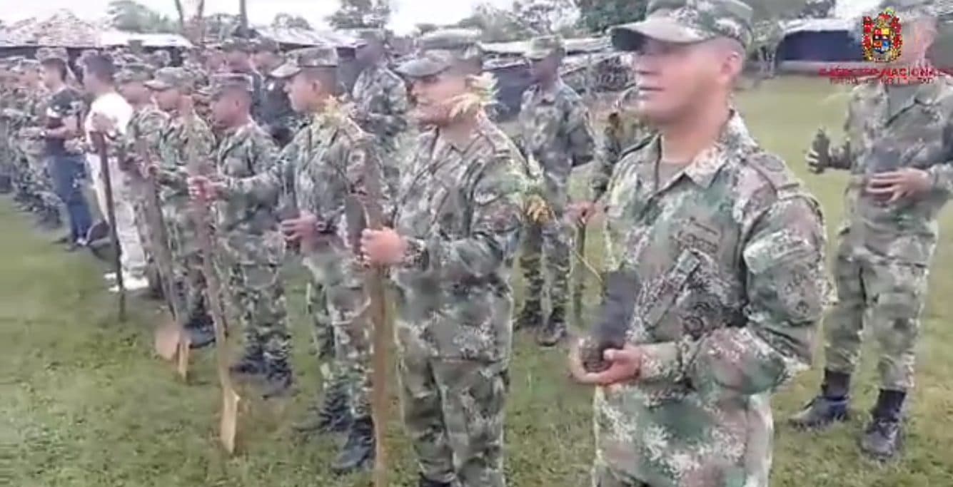 5.000 árboles en un minuto