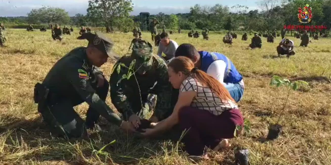 Jornada de siembra masiva en campo colombiano