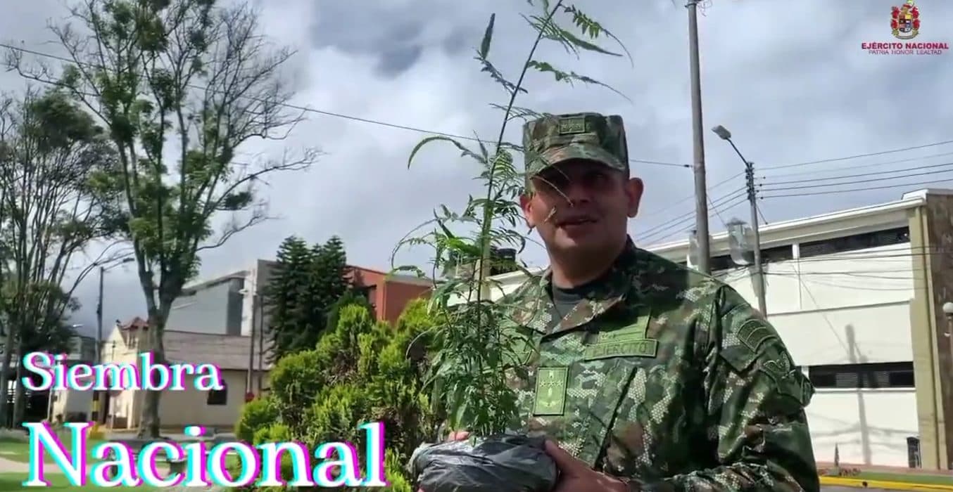 Lanzamiento del Día Internacional para Sembrar un Árbol