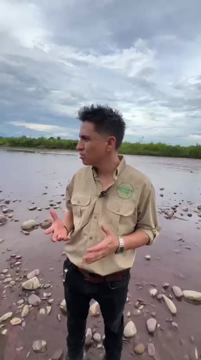 La caña brava que protege los ríos