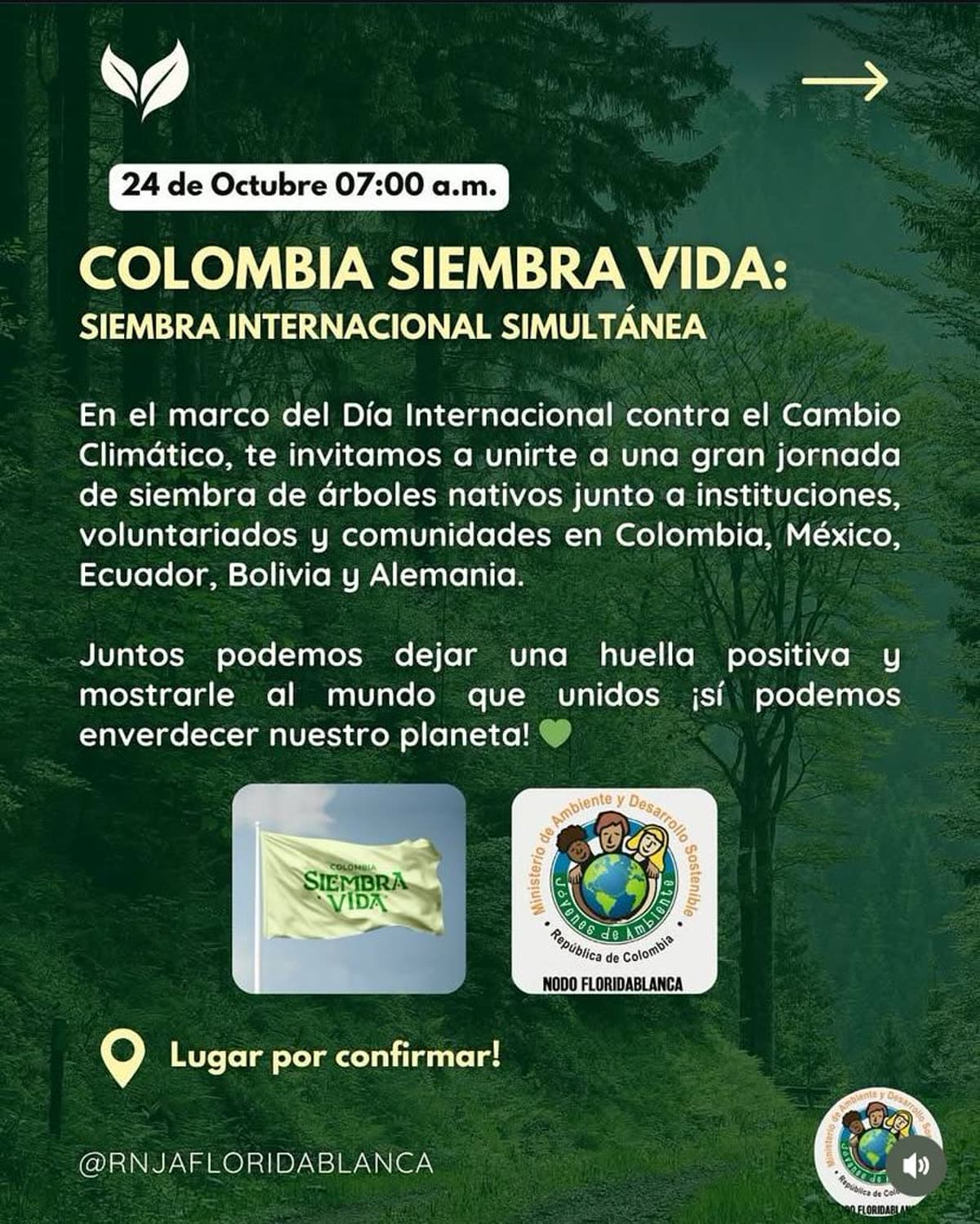 Flyer oficial Floridablanca, Santander